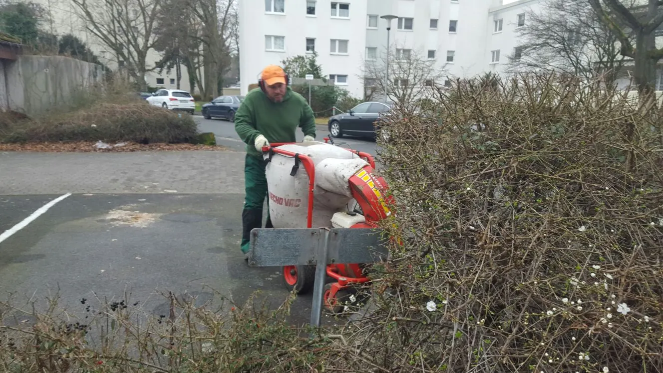 Mitarbeiter mit Laubsauger entfernt Herbstlaub aus einer Pflanzfläche