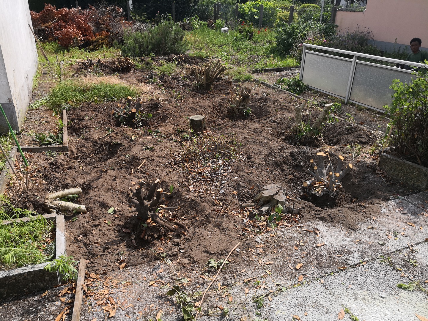 Vorbereitete Gartenfläche mit Rückschnitt vor der Neugestaltung